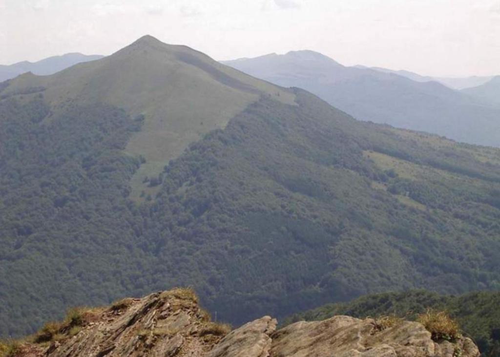 Perelka Natura Tour Hotel Cisna Zewnętrze zdjęcie